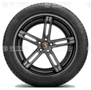 Continental ContiWinterContact TS830P SUV 255/60 R18 108H