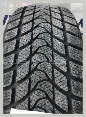 Delinte Winter WD1 215/55 R16 97T