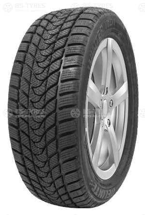 Delinte Winter WD1 215/55 R16 97T