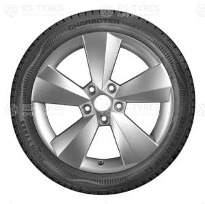 Ikon (Nokian Tyres) Character Snow 2 (Nordman RS2) SUV 225/65 R17 106R