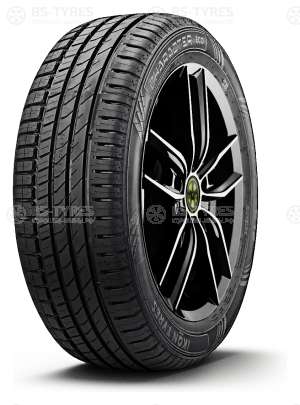 Ikon (Nokian Tyres) Character Eco (Nordman SX3) 205/65 R15 94H
