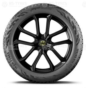 Ikon (Nokian Tyres) Autograph Snow 5 SUV 255/55 R20 110R