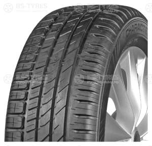 Ikon (Nokian Tyres) Character Eco (Nordman SX3) 205/65 R15 94H